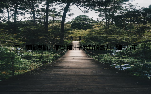 二、美图赏析, 感受圆叶子盆栽的魅力 圆叶万年青圆叶万年青叶片翠绿, 形状圆润, 犹如一枚硬币, 寓意财源滚滚