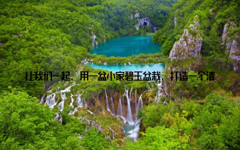让我们一起, 用一盆小家碧玉盆栽, 打造一个清新、健康的家居环境, 提升生活品质吧! 在这个繁忙的世界里, 让我们用心呵护一盆小家碧玉盆栽, 感受生活的美好, 享受家的温馨