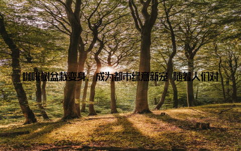咖啡树盆栽变身, 成为都市绿意新宠 随着人们对生活品质的追求越来越高, 咖啡树盆栽因其独特的气质和易于养护的特点, 迅速成为了都市绿意的新宠