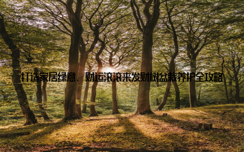 打造家居绿意, 财运滚滚来发财树盆栽养护全攻略 在这个快节奏的生活中, 拥有一盆生机勃勃的绿植不仅能为家居增添一抹清新, 更能带给我们心灵上的宁静