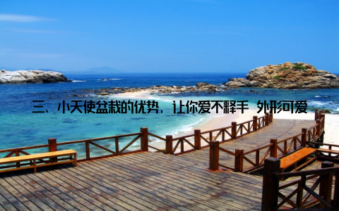 三、小天使盆栽的优势, 让你爱不释手 外形可爱小天使盆栽的外形就像是一个个小天使, 让人忍不住想要捧在手心