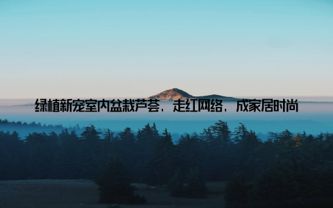 绿植新宠室内盆栽芦荟, 走红网络, 成家居时尚潮流近年来, 室内盆栽芦荟因其独特的魅力, 成为了家居新宠, 走红网络