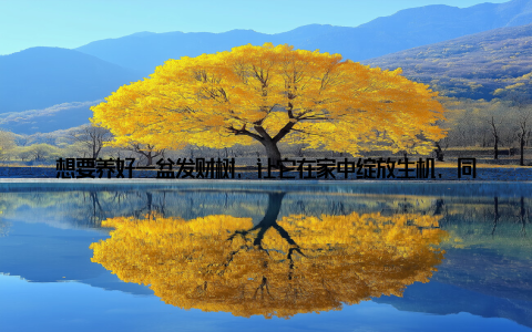 想要养好一盆发财树, 让它在家中绽放生机, 同时为你带来好运气, 这五大关键技巧你一定要掌握! 技巧一选对位置, 阳光充足是关键发财树喜欢光照, 但又不耐强烈直射阳光