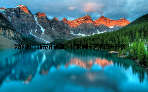 我的阳台新宠孔雀草, 让家居园艺潮流再升级! 嘿, 大家好! 今天我要和大家分享一个让我家阳台焕然一新的宝贝孔雀草盆栽