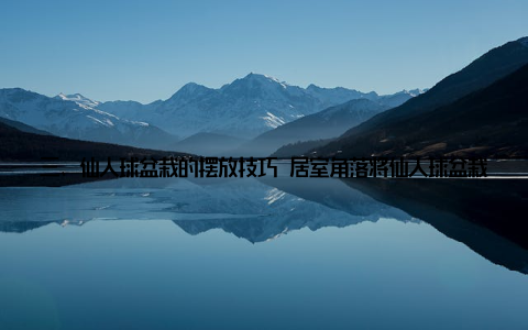三、仙人球盆栽的摆放技巧 居室角落将仙人球盆栽放置在居室角落, 既能美化环境, 又能起到净化空气的作用