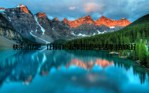 快来试试吧, 让我们一起享受绿色生活带来的美好时光! 注本文旨在为读者提供适合年轻人的种子盆栽选择及种植技巧, 部分植物名称及养护方法仅供参考, 具体请以实际情况为准
