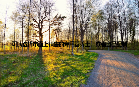 可以选择市面上销售的专用营养土, 或者自己配制土壤, 加入适量的腐叶土、沙土和腐熟的有机肥, 保证土壤的肥沃和透气性