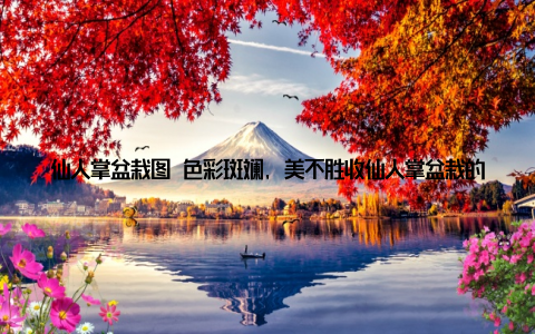 仙人掌盆栽图 色彩斑斓, 美不胜收仙人掌盆栽的色彩丰富多样, 从鲜嫩的绿色到热情的红色, 从优雅的紫色到神秘的黑色, 每一款都能为你的家居空间带来独特的视觉享受
