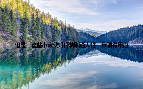 但是, 这些小家伙好像特别通人性, 我稍微用心照顾一下, 它们就长得特别快, 叶子也越来越绿, 越来越有光泽