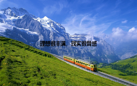 理想很丰满, 现实很骨感