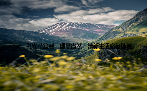 一、孔雀草盆栽, 绿意盎然, 清新生活必备随着人们对生活品质的追求越来越高, 家居环境的美化成为一大焦点
