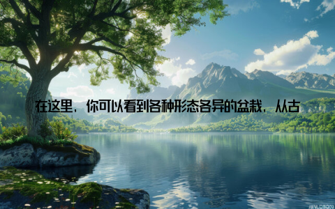 在这里, 你可以看到各种形态各异的盆栽, 从古朴典雅的松柏, 到娇艳欲滴的牡丹, 再到清新可爱的多肉植物, 应有尽有