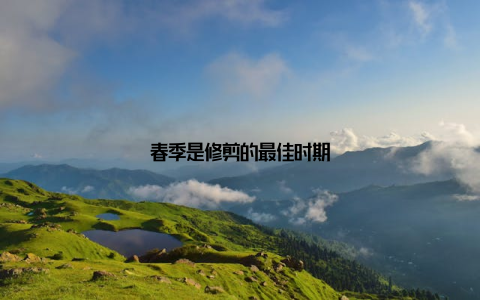 春季是修剪的最佳时期