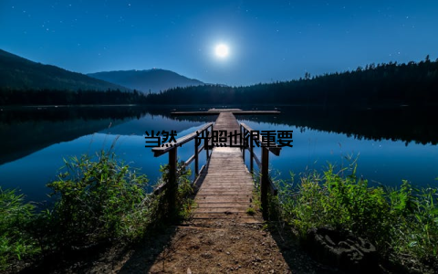 当然, 光照也很重要