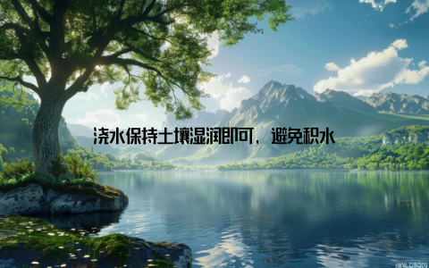 浇水保持土壤湿润即可, 避免积水