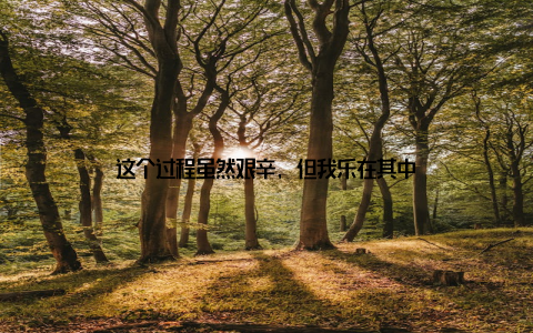 这个过程虽然艰辛, 但我乐在其中