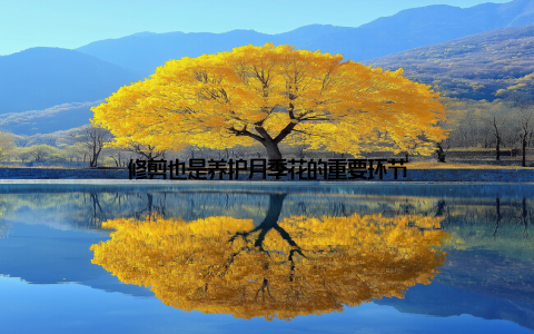 修剪也是养护月季花的重要环节