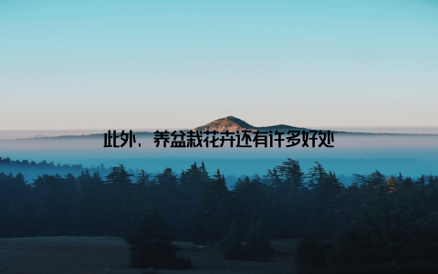 此外, 养盆栽花卉还有许多好处