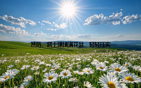 然后, 将土壤填满花盆, 轻轻压实