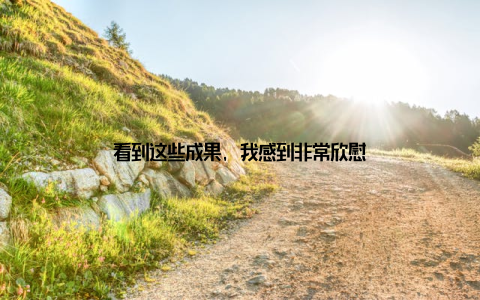 看到这些成果, 我感到非常欣慰