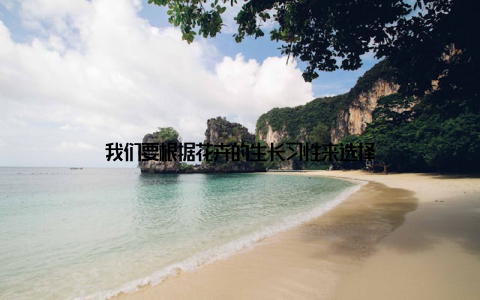 我们要根据花卉的生长习性来选择