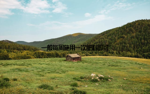 一般每周施用一次肥料即可