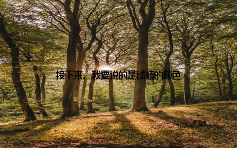 接下来, 我要说的是绿植的颜色