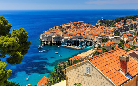 听到这里, 我顿时心动了