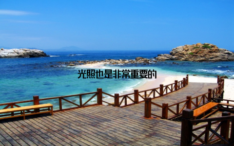 光照也是非常重要的