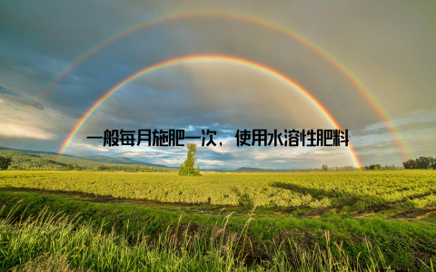 一般每月施肥一次, 使用水溶性肥料