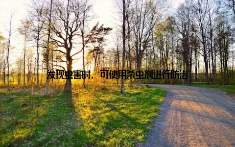 发现虫害时, 可使用杀虫剂进行防治