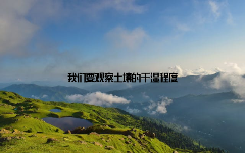 我们要观察土壤的干湿程度