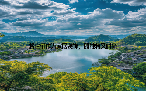 将它们作为家居装饰, 既独特又时尚