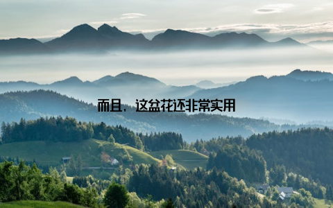 而且, 这盆花还非常实用