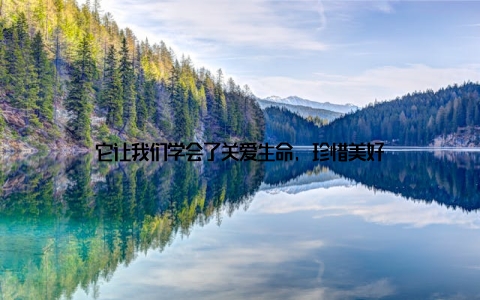 它让我们学会了关爱生命, 珍惜美好