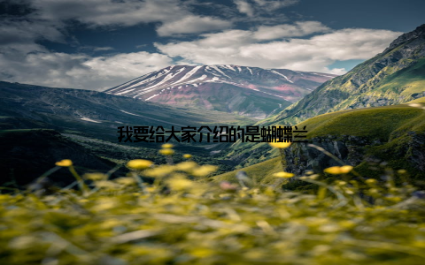 我要给大家介绍的是蝴蝶兰