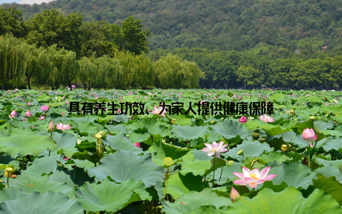 具有养生功效, 为家人提供健康保障