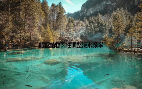 根据植物习性调整浇水频率