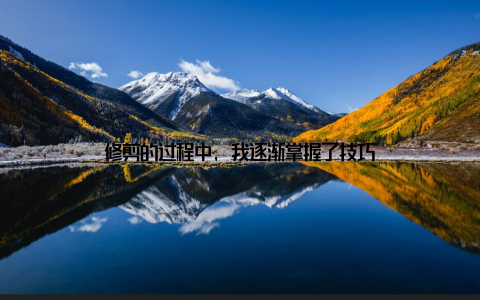 修剪的过程中, 我逐渐掌握了技巧