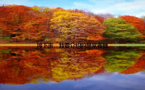 接下来, 我要介绍的是常春藤