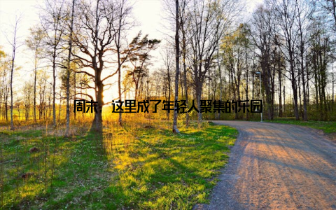 周末, 这里成了年轻人聚集的乐园