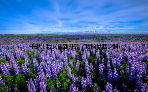 于是, 我又重新开始了我的盆栽之路