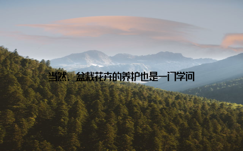 当然, 盆栽花卉的养护也是一门学问