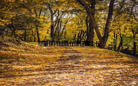尽量保持植株在原位置生长
