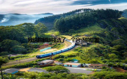 我给棕榈树挑选了一个合适的位置