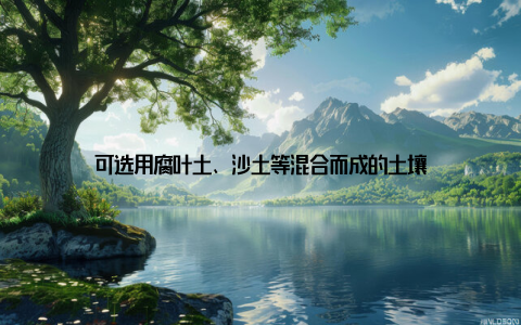 可选用腐叶土、沙土等混合而成的土壤