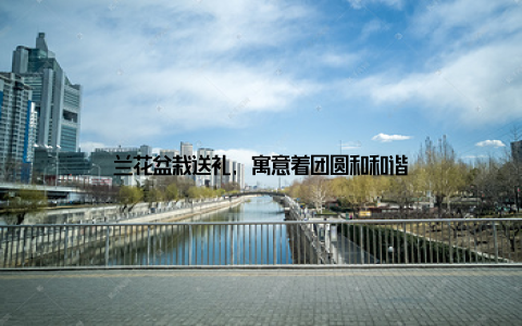 兰花盆栽送礼, 寓意着团圆和和谐