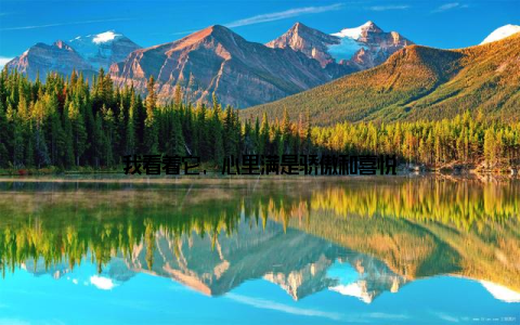 我看着它, 心里满是骄傲和喜悦