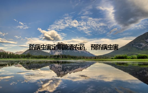 防病虫害定期喷洒农药, 预防病虫害