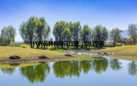 代表品种有桂花玫瑰、香月季等